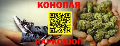 прущие грибы Апшеронск