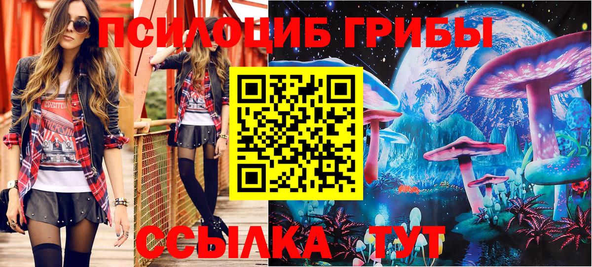 Галлюциногенные грибы Psilocybine cubensis  Вход с VPN  Будённовск  Галлюциногенные грибы MAGIC MUSHROOMS 