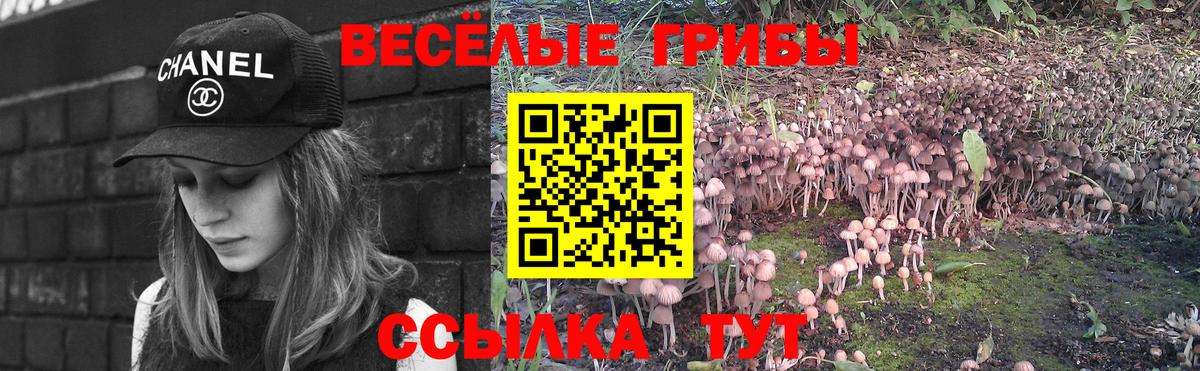 Галлюциногенные грибы GOLDEN TEACHER Будённовск
